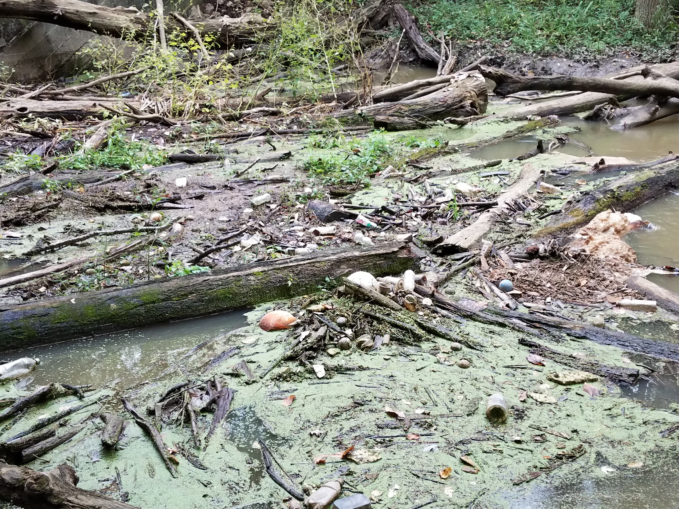 Hartman Bridge river debris
